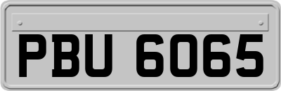 PBU6065