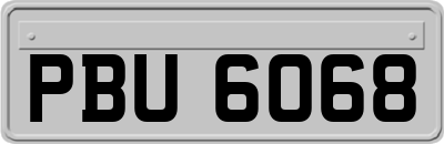 PBU6068