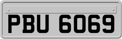 PBU6069