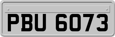 PBU6073