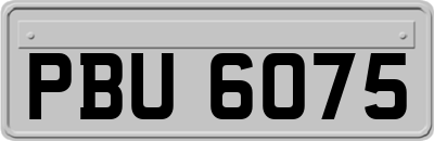 PBU6075