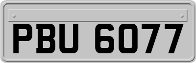 PBU6077