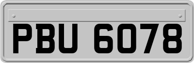 PBU6078