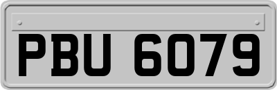 PBU6079