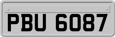 PBU6087