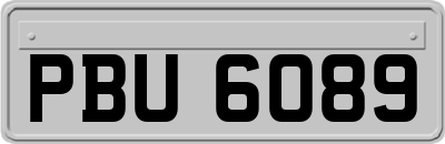 PBU6089