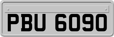 PBU6090