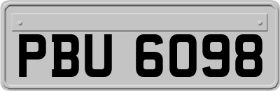 PBU6098