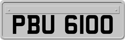 PBU6100