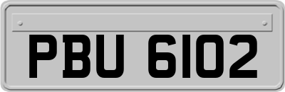 PBU6102