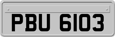 PBU6103