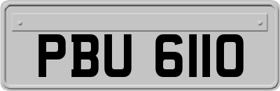 PBU6110