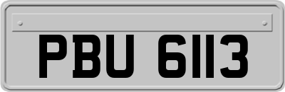 PBU6113