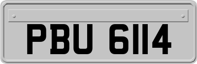 PBU6114