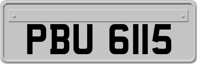 PBU6115