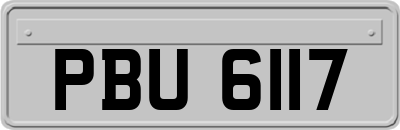 PBU6117