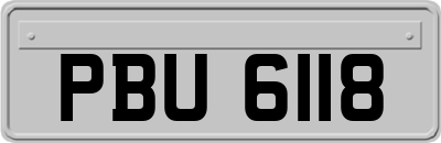 PBU6118