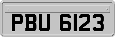 PBU6123