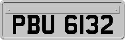 PBU6132