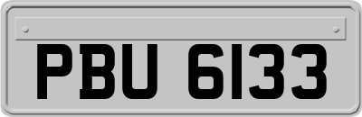 PBU6133