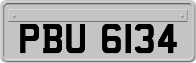 PBU6134