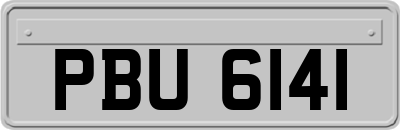 PBU6141