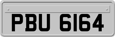 PBU6164