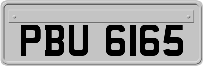 PBU6165