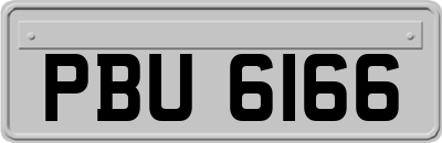 PBU6166