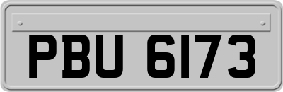 PBU6173