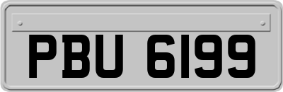 PBU6199