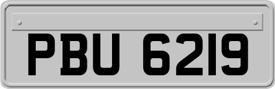 PBU6219