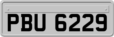 PBU6229