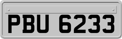 PBU6233