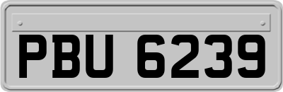 PBU6239