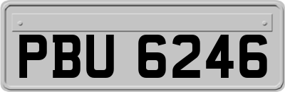 PBU6246