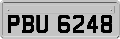 PBU6248