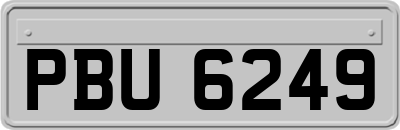 PBU6249