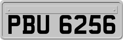 PBU6256