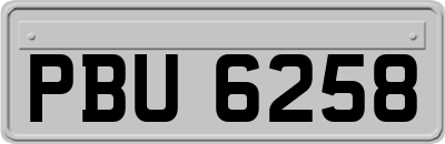 PBU6258