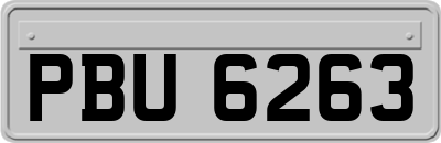 PBU6263