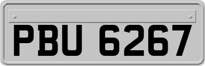 PBU6267