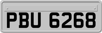 PBU6268