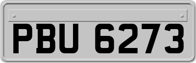 PBU6273