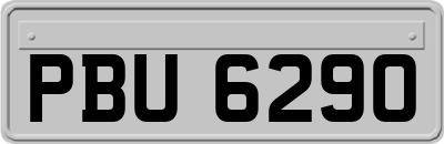 PBU6290