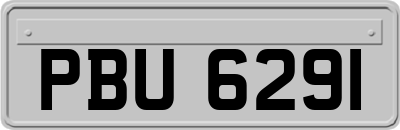 PBU6291