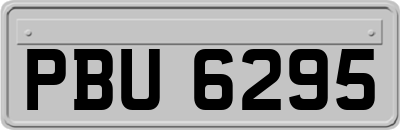 PBU6295