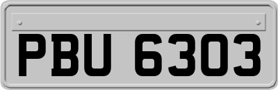 PBU6303