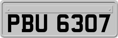 PBU6307