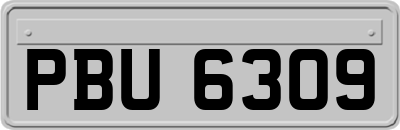 PBU6309